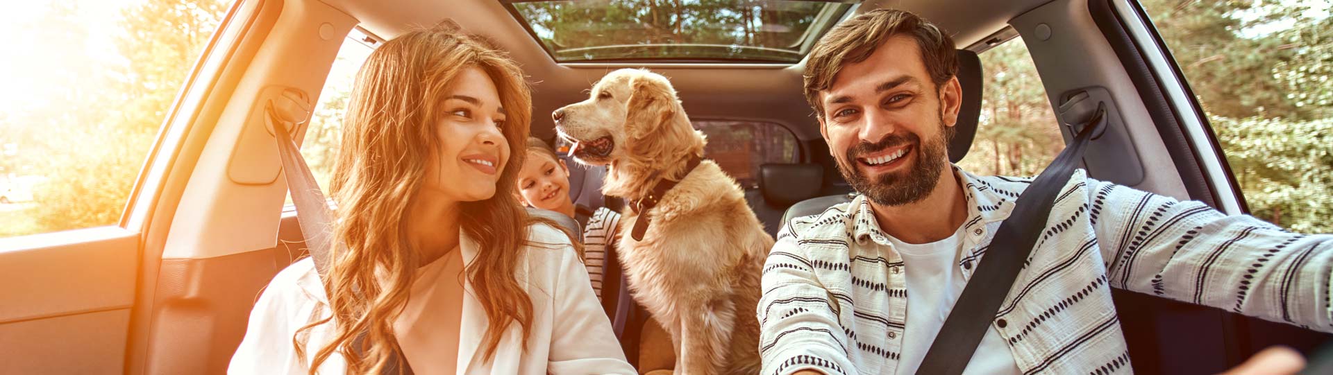 protezione-credito-banner-1